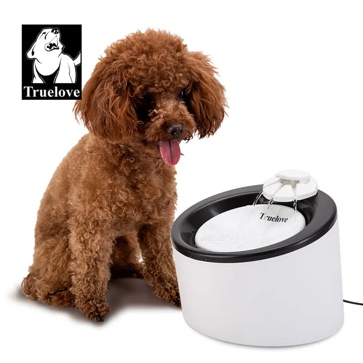 Automatic Water Dispenser - WD T1