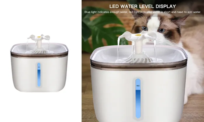 Automatic Water Dispenser