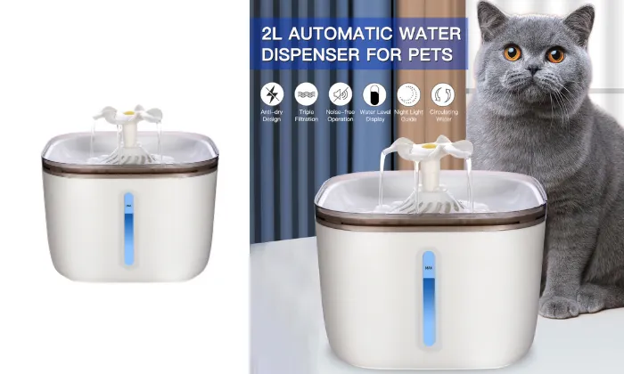 Automatic Water Dispenser