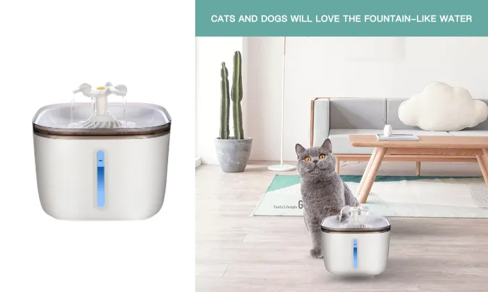 Automatic Water Dispenser