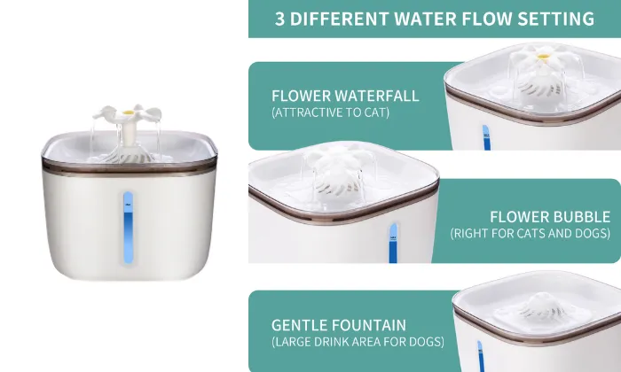 Automatic Water Dispenser