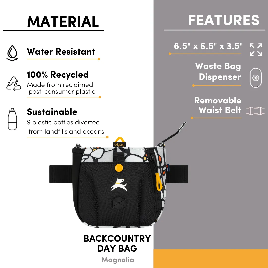 Backcountry Day Bag | Accessory Hip Pack