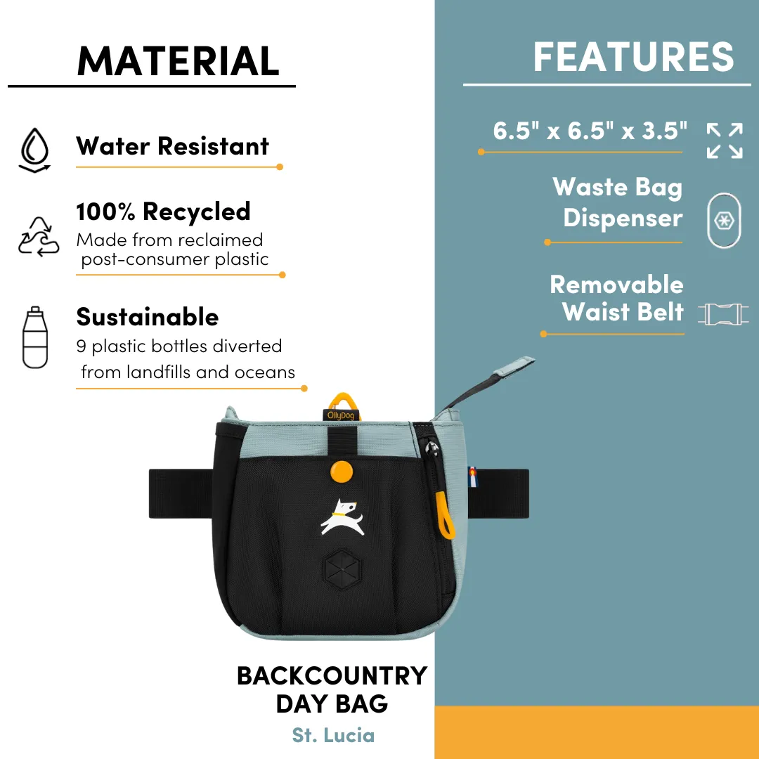 Backcountry Day Bag | Accessory Hip Pack
