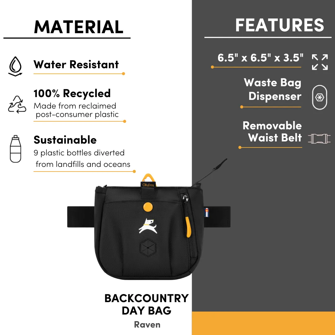 Backcountry Day Bag | Accessory Hip Pack