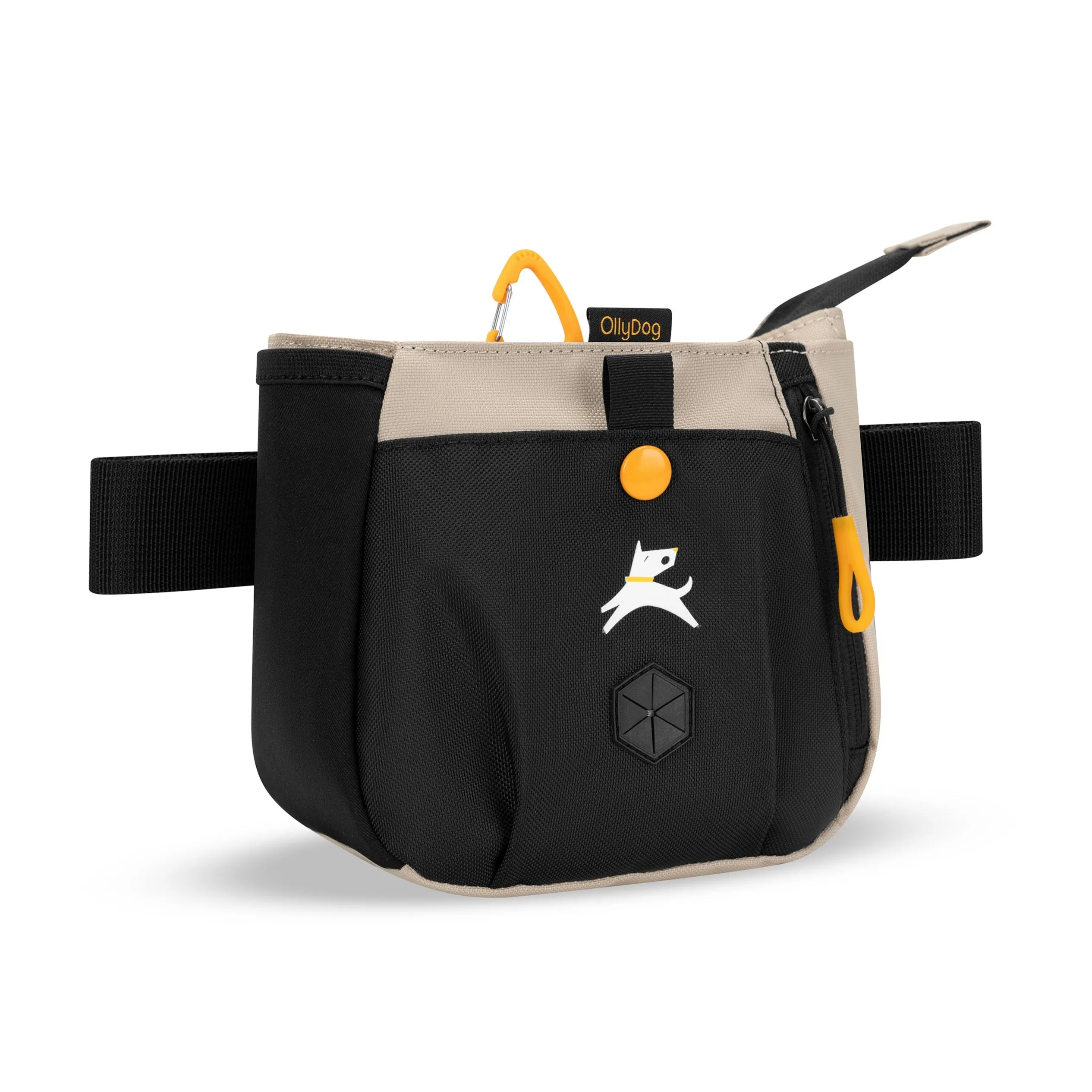 Backcountry Day Bag | Accessory Hip Pack
