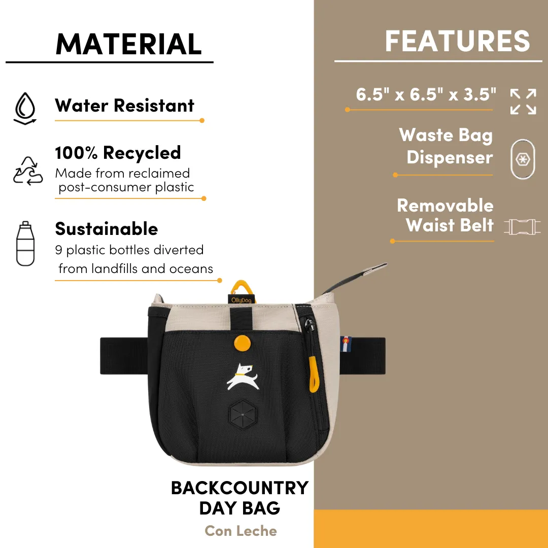 Backcountry Day Bag | Accessory Hip Pack