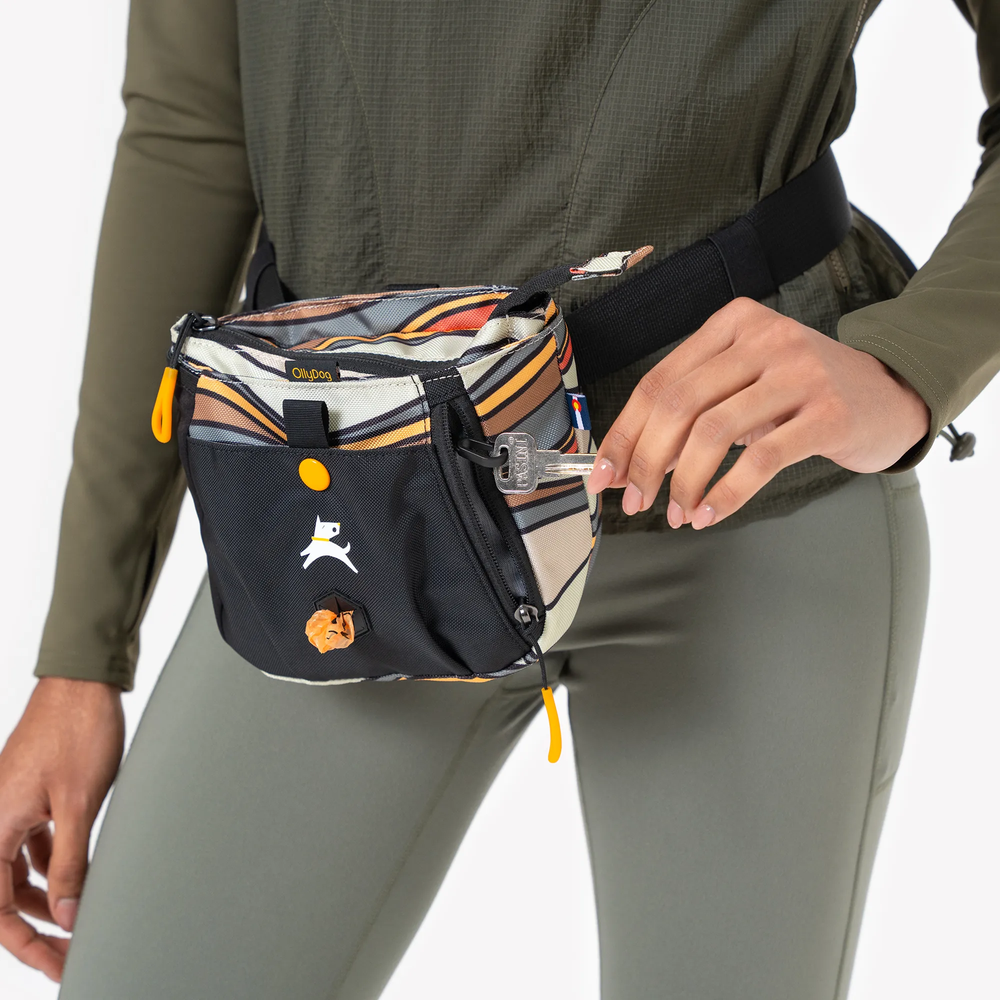 Backcountry Day Bag | Accessory Hip Pack