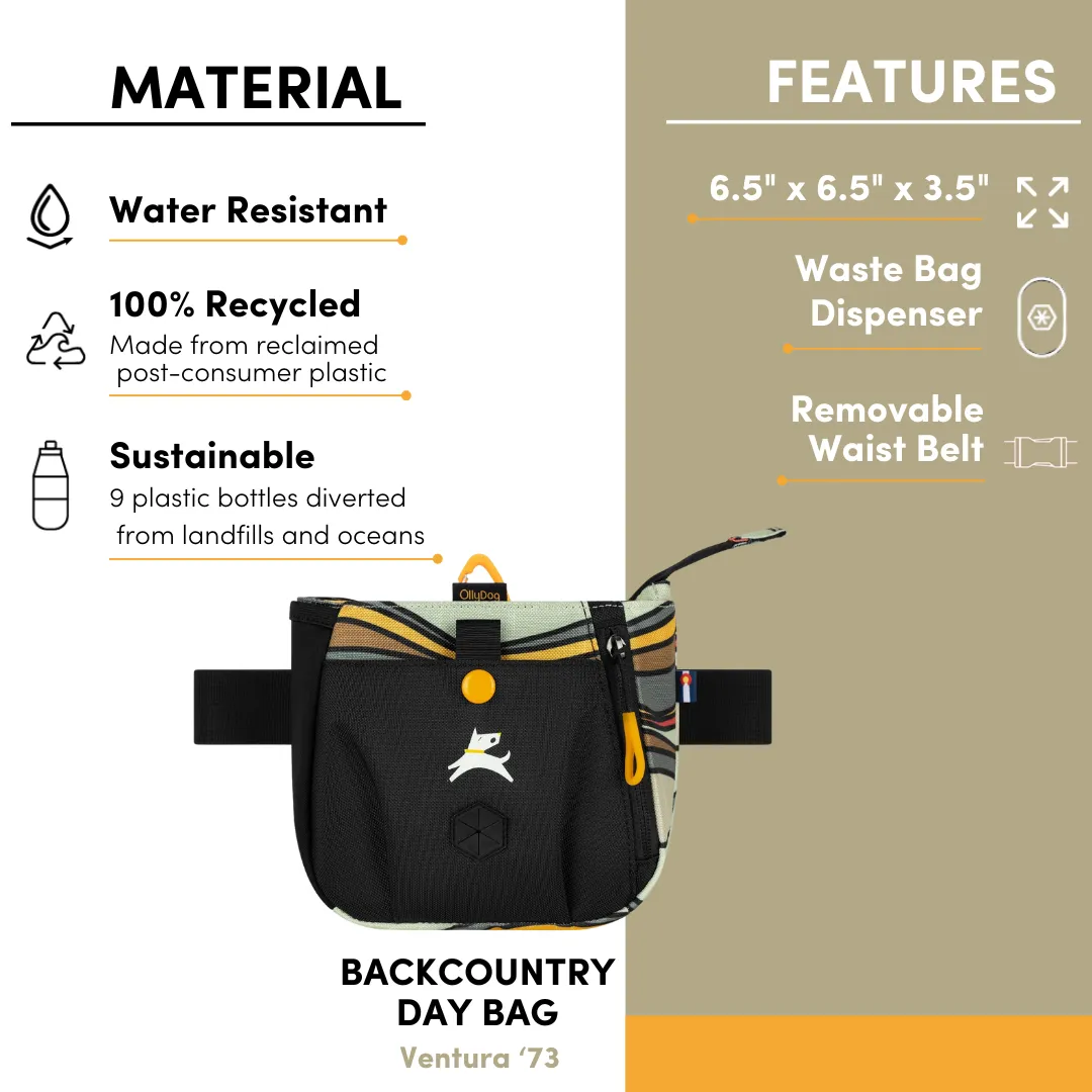 Backcountry Day Bag | Accessory Hip Pack