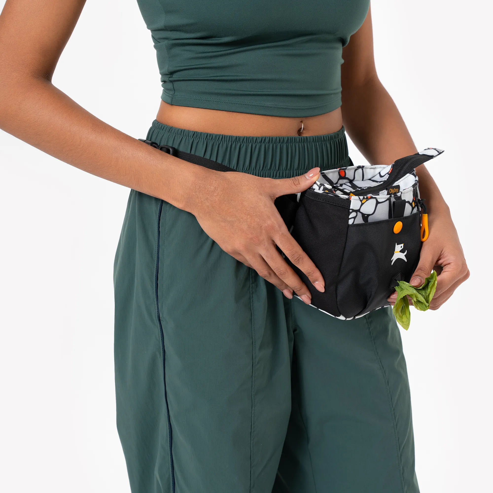 Backcountry Day Bag | Accessory Hip Pack