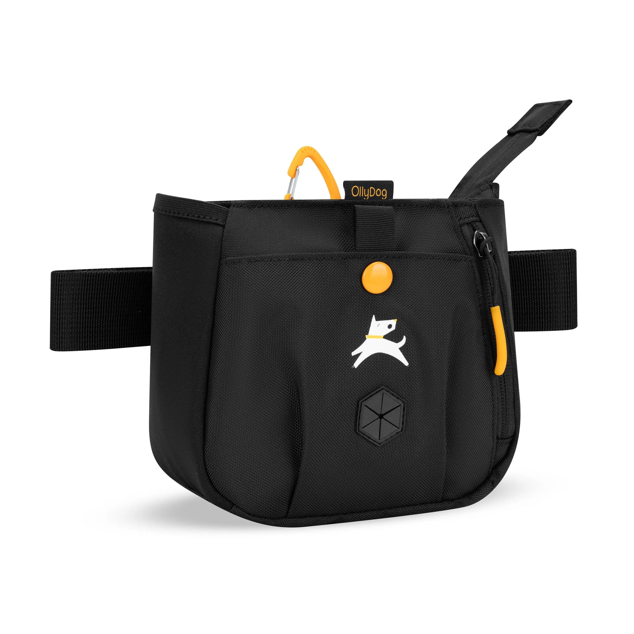 Backcountry Day Bag | Accessory Hip Pack
