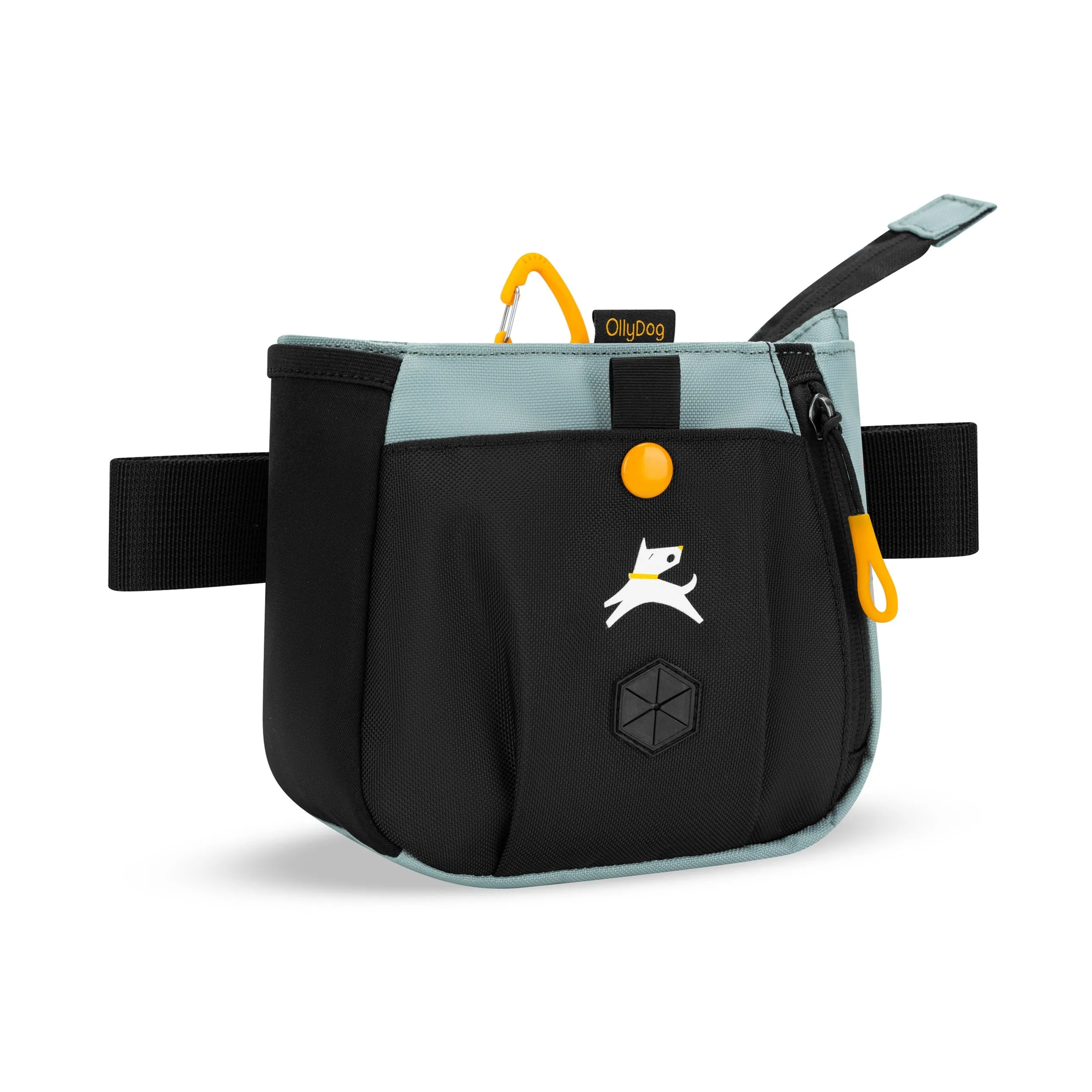 Backcountry Day Bag | Accessory Hip Pack