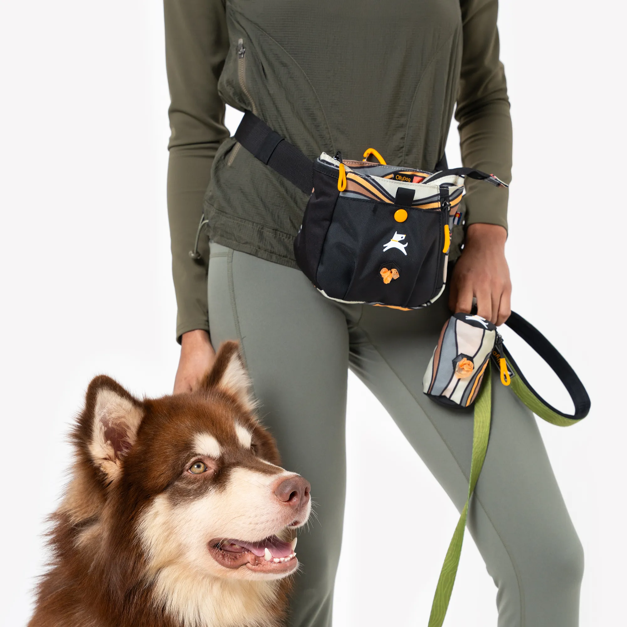 Backcountry Day Bag | Accessory Hip Pack