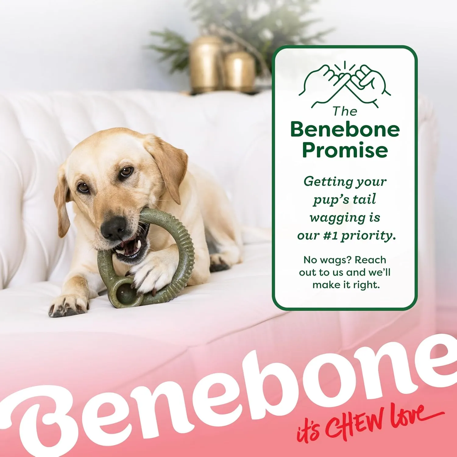 Benebone Peppermint Ring  Limited Edition Holiday Flavor, Durable Chew Toy for Aggressive Chewers, Made in USA, Medium