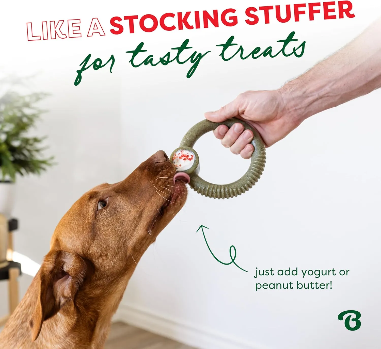 Benebone Peppermint Ring  Limited Edition Holiday Flavor, Durable Chew Toy for Aggressive Chewers, Made in USA, Medium