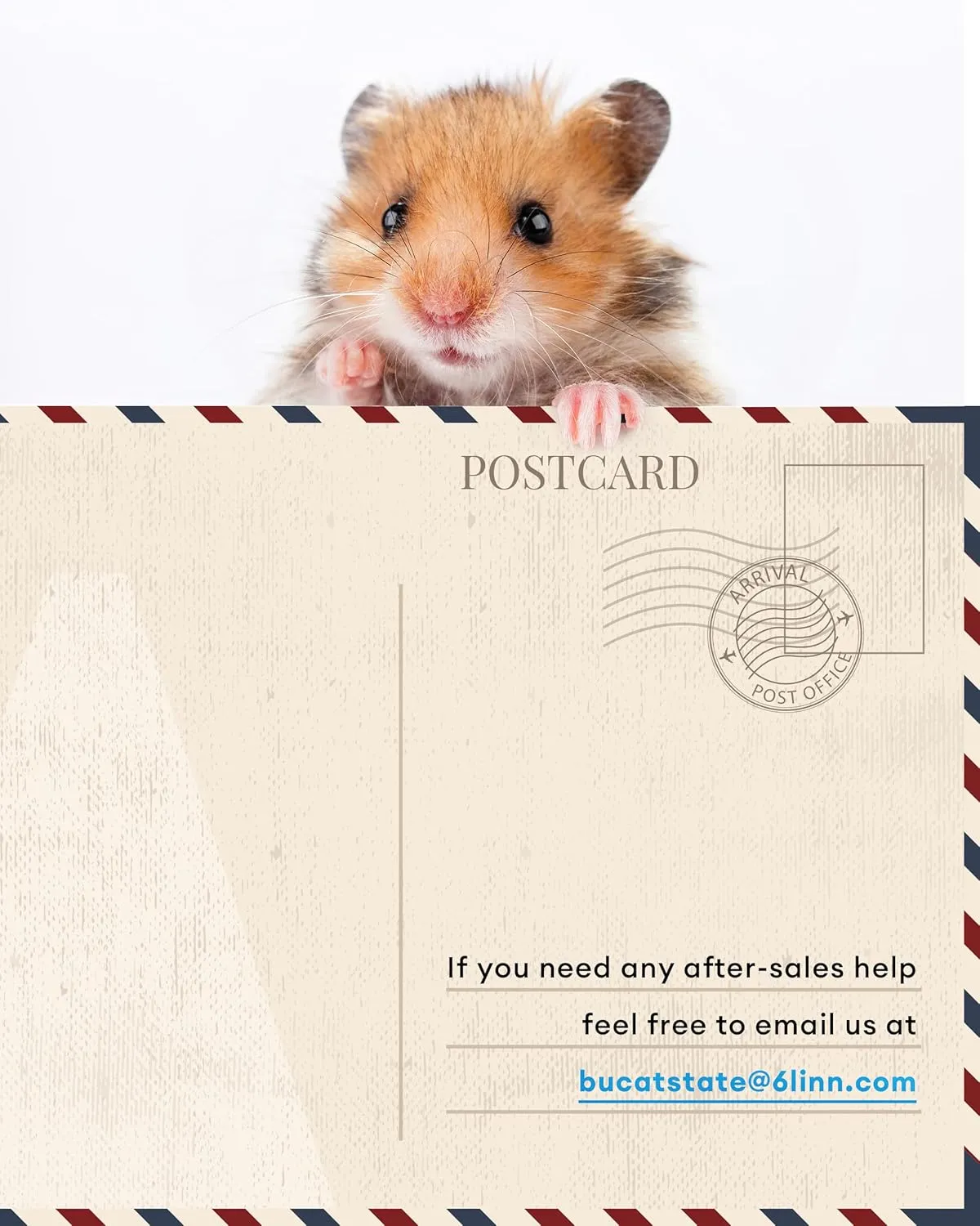 BUCATSTATE Hamster Cage 3.0: Metal Large Rat Cage Stackable with Top Access Easy Assemble 39.3L x 19.7W x 20.6H Inches Dwarf Syrian Hamster Tank for Gerbil Mouse (5.4 ft, White)