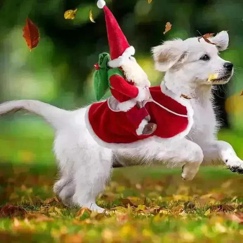 Christmas Dog Santa Costume - Funny Holiday Pet Outfit
