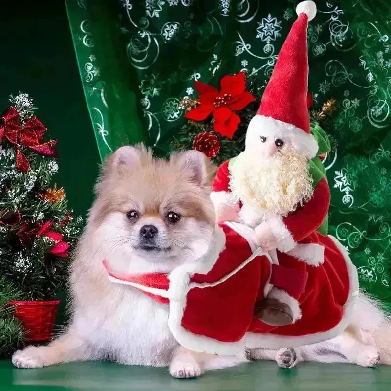 Christmas Dog Santa Costume - Funny Holiday Pet Outfit