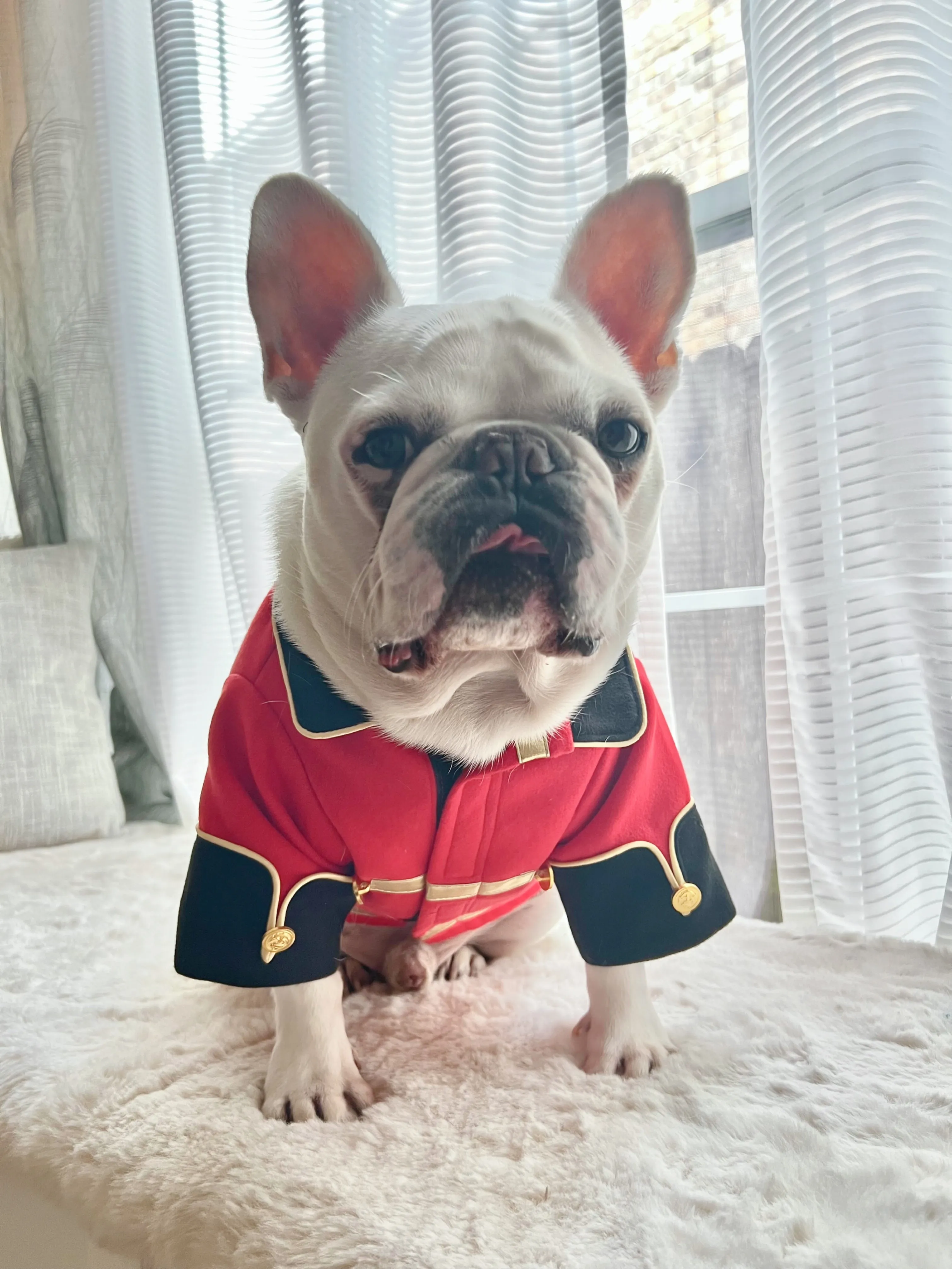 Christmas Nutcracker Soldier Costume