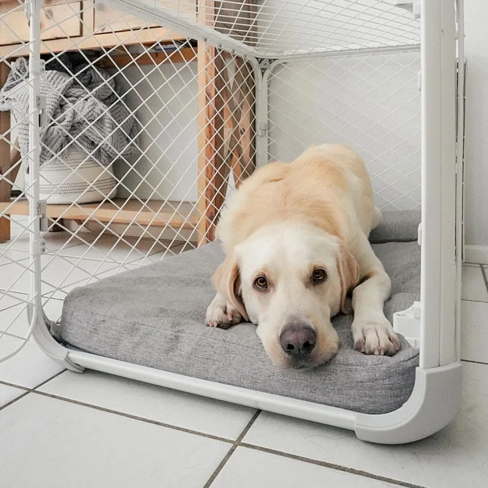 Diggs Bolstr Orthopedic Dog Bed with Headrest - Dog Crate Bed for Evolv Crate & Other Standard Pet Kennels - Durable & Comfortable - (Small)