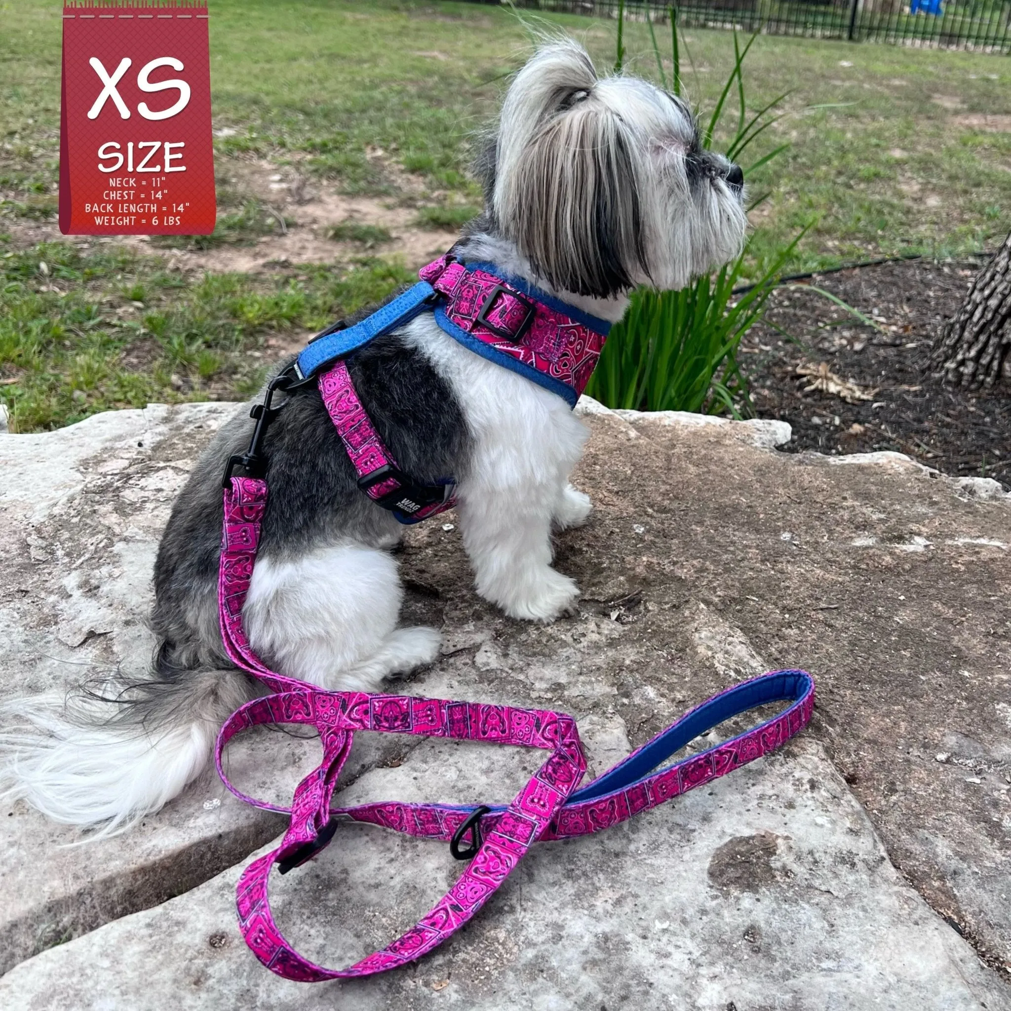 Dog Harness and Leash Set | Bandana Boujee Pink