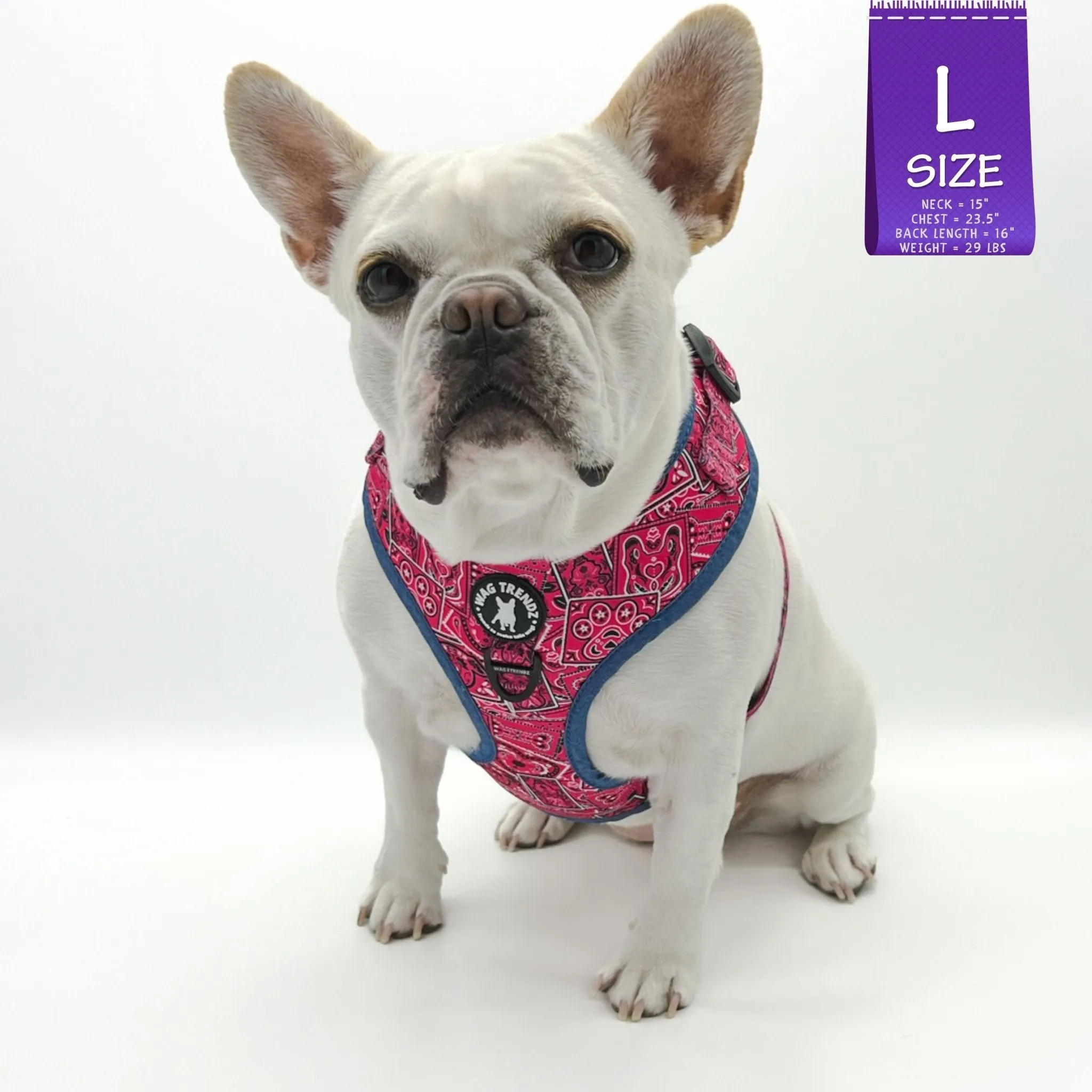 Dog Harness and Leash Set | Bandana Boujee Pink