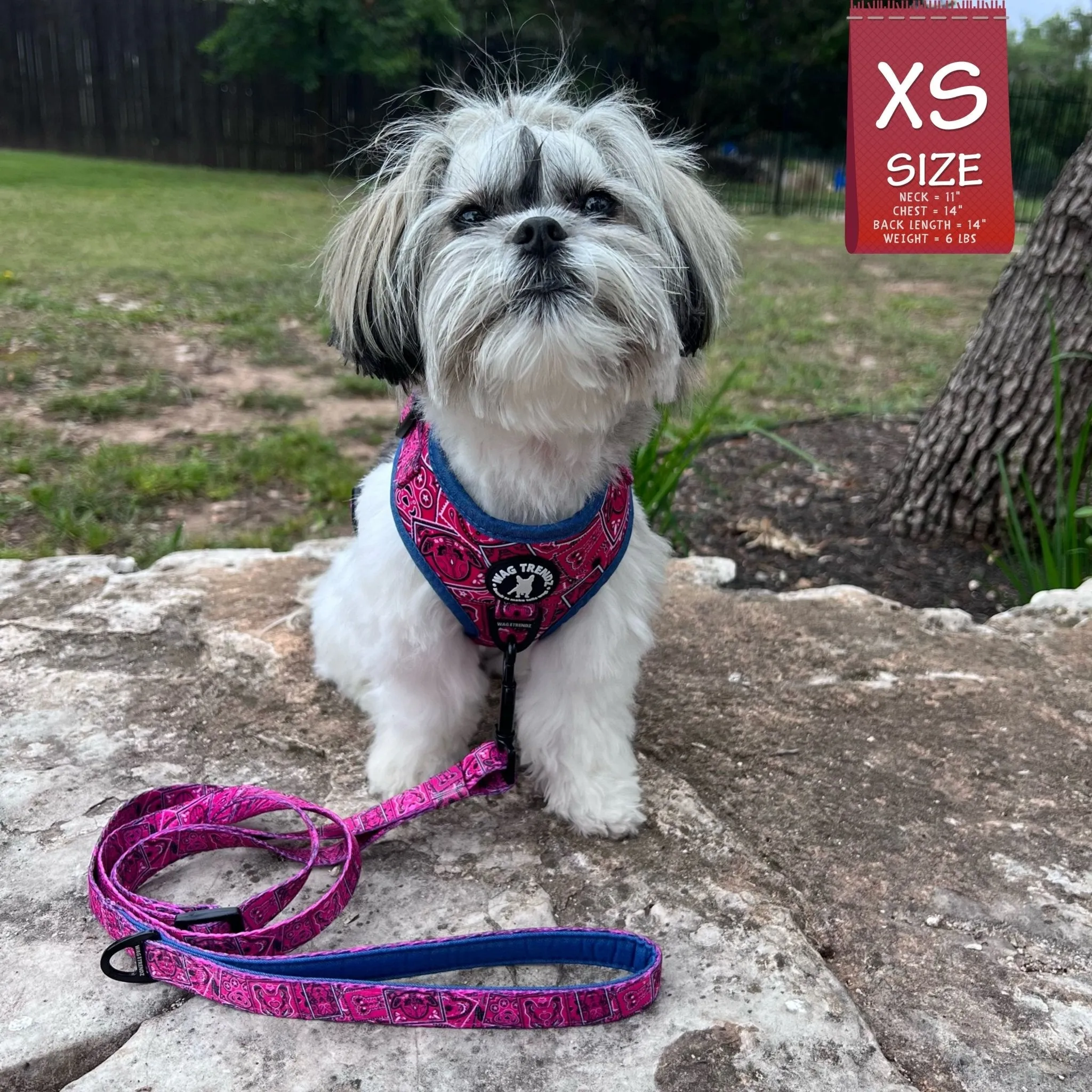 Dog Harness and Leash Set | Bandana Boujee Pink