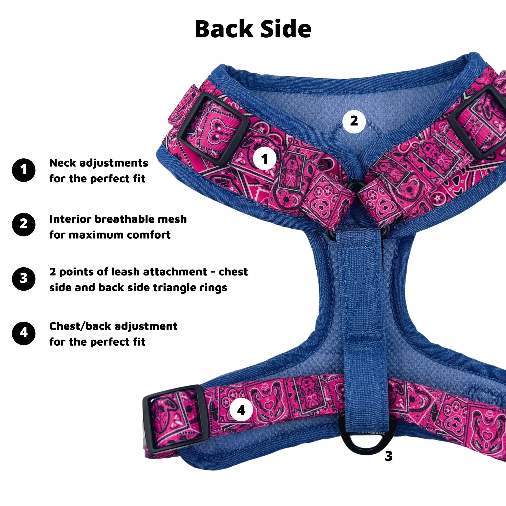 Dog Harness and Leash Set | Bandana Boujee Pink