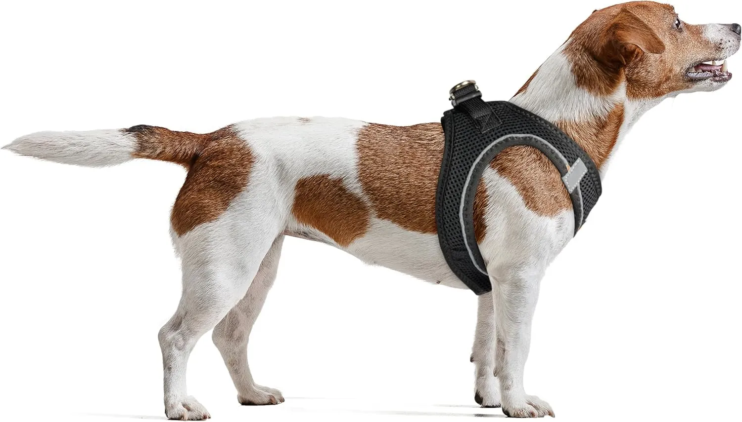 Dog Harness Small Sized Dog, Step-in Reflective Harness Small Sized Dogs, Puppy Vest, Mesh Vest, Adjustable, Soft, High Reflectivity, Breathable Fabric, Heavy Duty Velcro, Neon Yellow