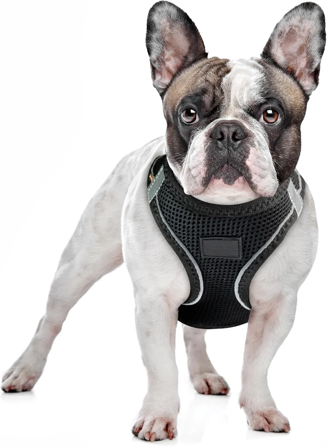 Dog Harness Small Sized Dog, Step-in Reflective Harness Small Sized Dogs, Puppy Vest, Mesh Vest, Adjustable, Soft, High Reflectivity, Breathable Fabric, Heavy Duty Velcro, Neon Yellow