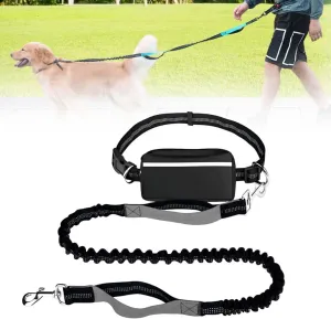 Dog Leash Hands Free with Zipper Pouch, Waist Dog Running Leash with Dual Handles and Bungee, Dogs Leashs Around Waist for Walking Jogging Hiking for Medium and Large Dogs (Silver Gray)