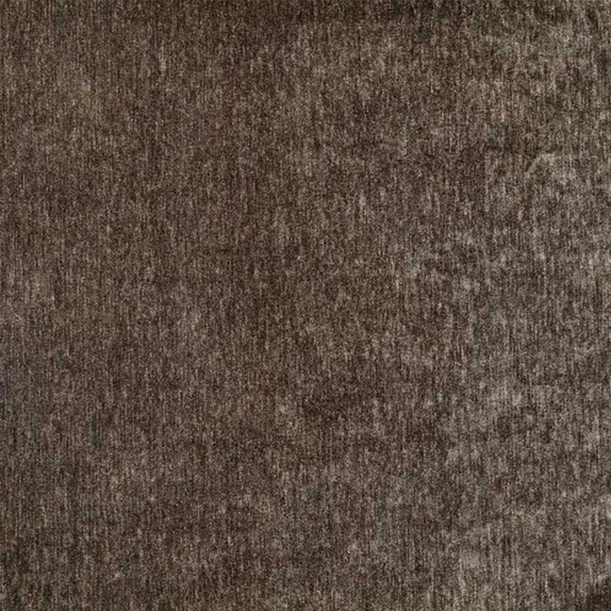 Donut Bed Carbon Microvelvet Pet Bed