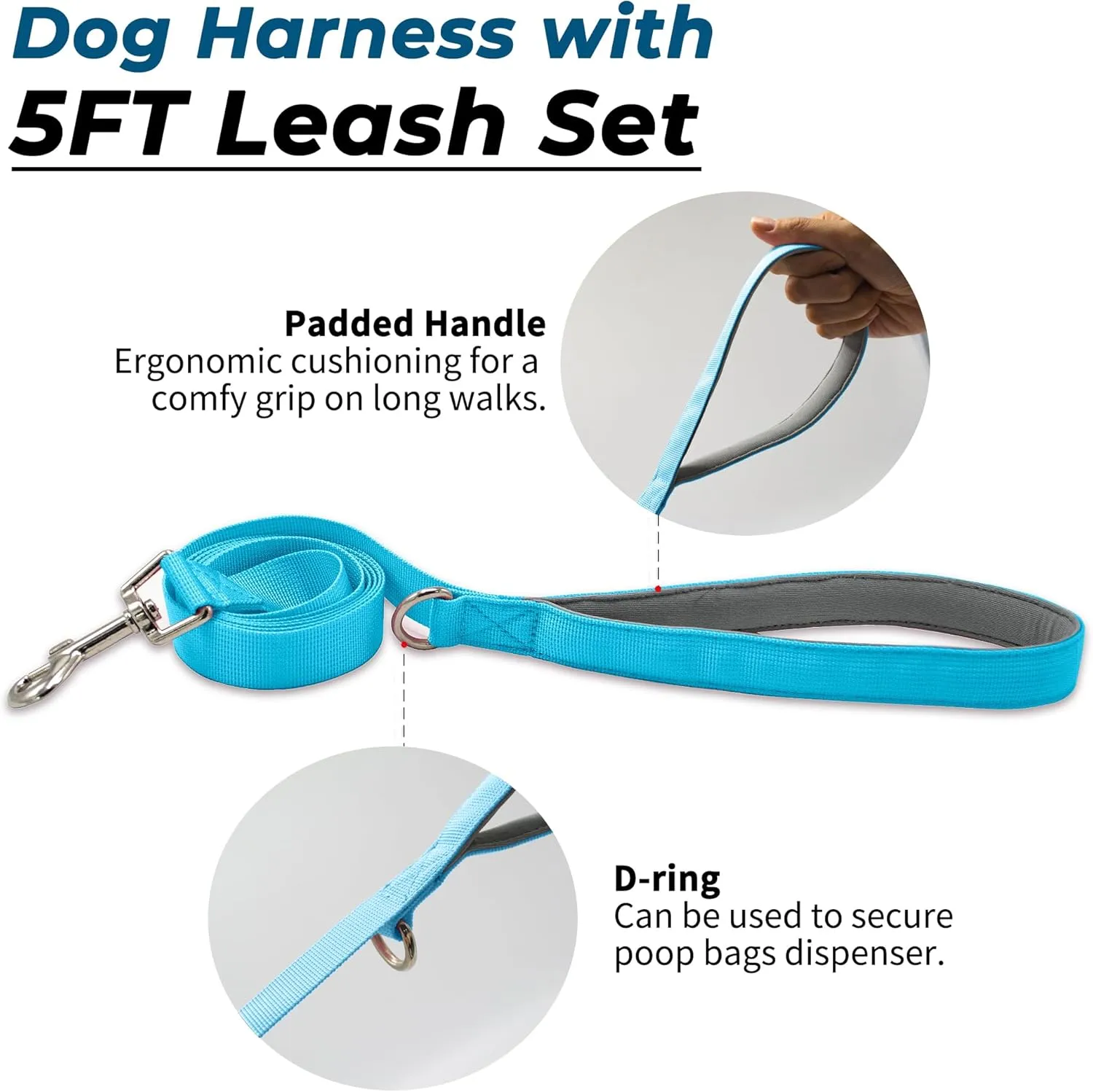 Escape Proof Dog Harness and Leash Set, Lightweight Dog Harness with Lift and Assist Handle, No Pull Reflective Pet Vest for Small Medium Dogs, Ideal for Puppy Walking and Training (Blue, S)