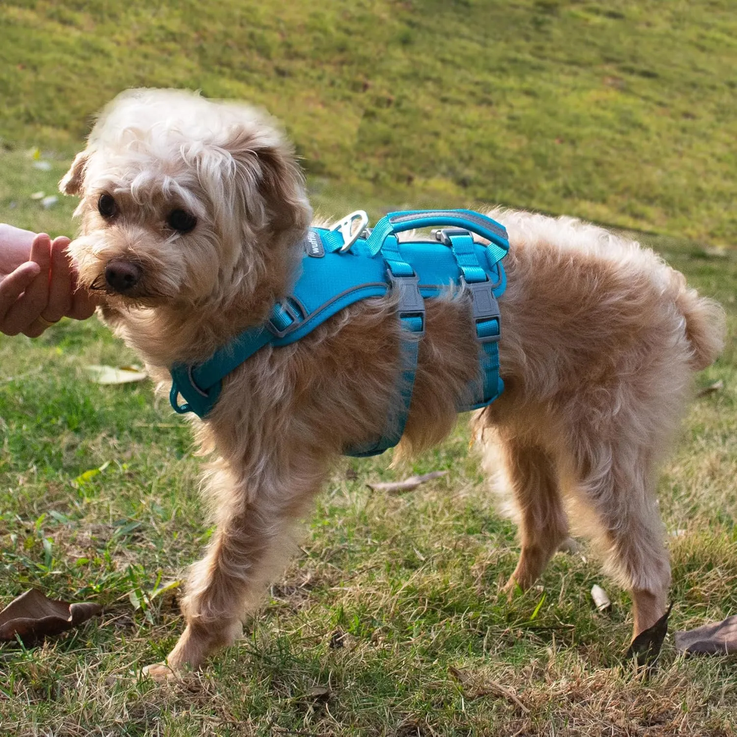 Escape Proof Dog Harness and Leash Set, Lightweight Dog Harness with Lift and Assist Handle, No Pull Reflective Pet Vest for Small Medium Dogs, Ideal for Puppy Walking and Training (Blue, S)