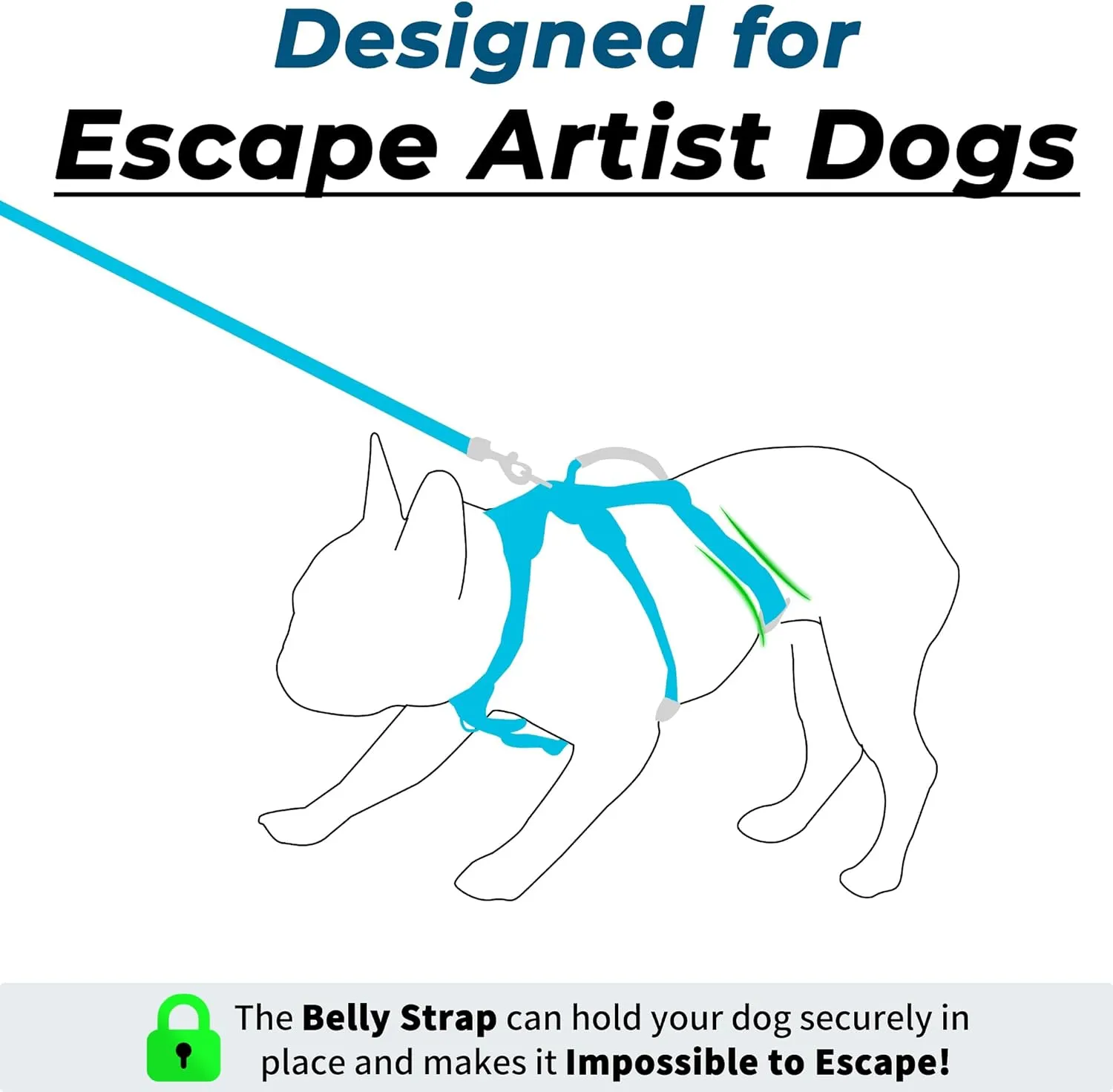Escape Proof Dog Harness and Leash Set, Lightweight Dog Harness with Lift and Assist Handle, No Pull Reflective Pet Vest for Small Medium Dogs, Ideal for Puppy Walking and Training (Blue, S)