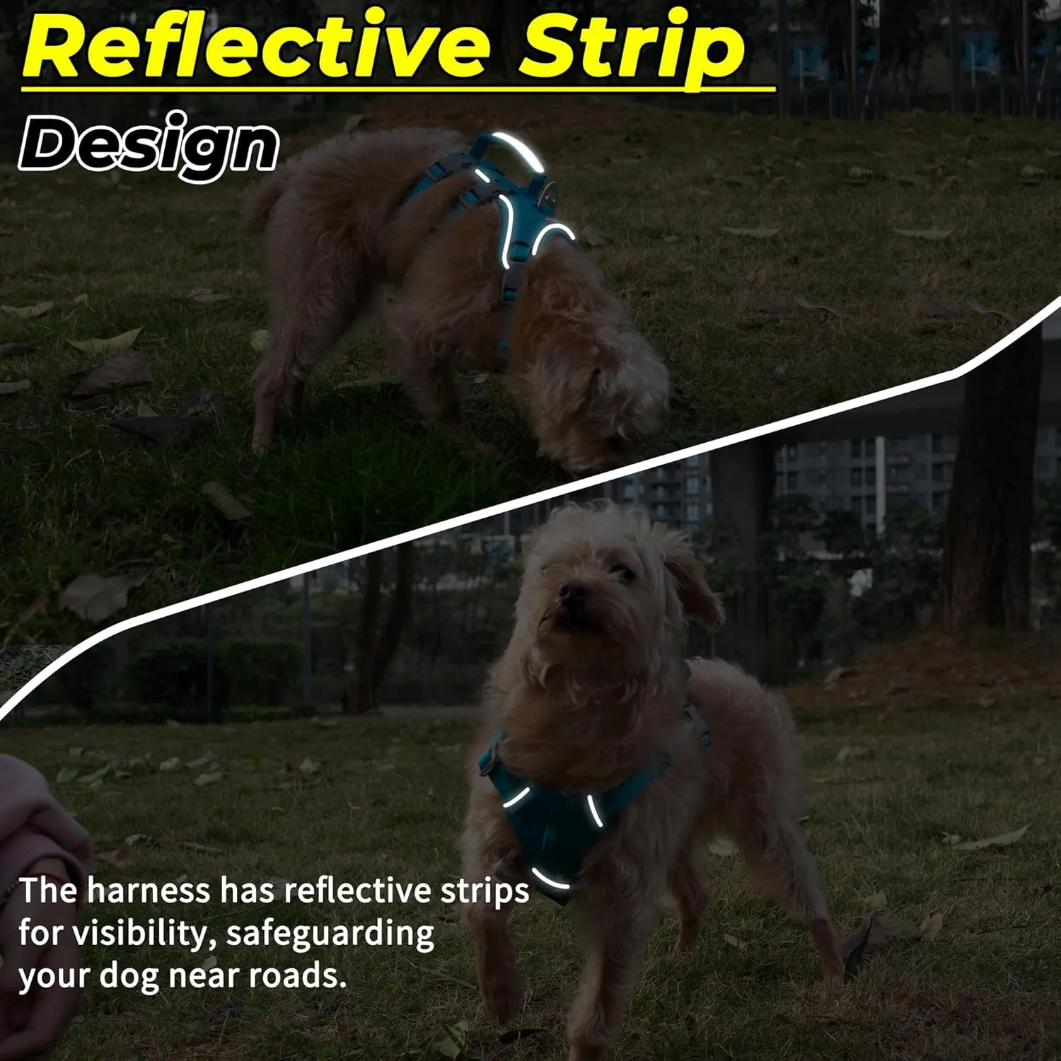 Escape Proof Dog Harness and Leash Set, Lightweight Dog Harness with Lift and Assist Handle, No Pull Reflective Pet Vest for Small Medium Dogs, Ideal for Puppy Walking and Training (Blue, S)