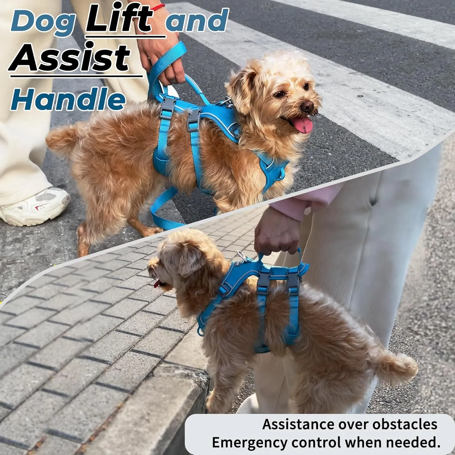 Escape Proof Dog Harness and Leash Set, Lightweight Dog Harness with Lift and Assist Handle, No Pull Reflective Pet Vest for Small Medium Dogs, Ideal for Puppy Walking and Training (Blue, S)