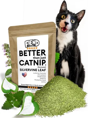 Fiend Catnip   Silvervine for Cats & Kittens Enhanced with Kind Silver Vine  Small Pack  Cup (11g) Safety-Cut Premium Fine Cat Nip Blend  Ultra Potent, North American Go Ahead, Create a Monster!