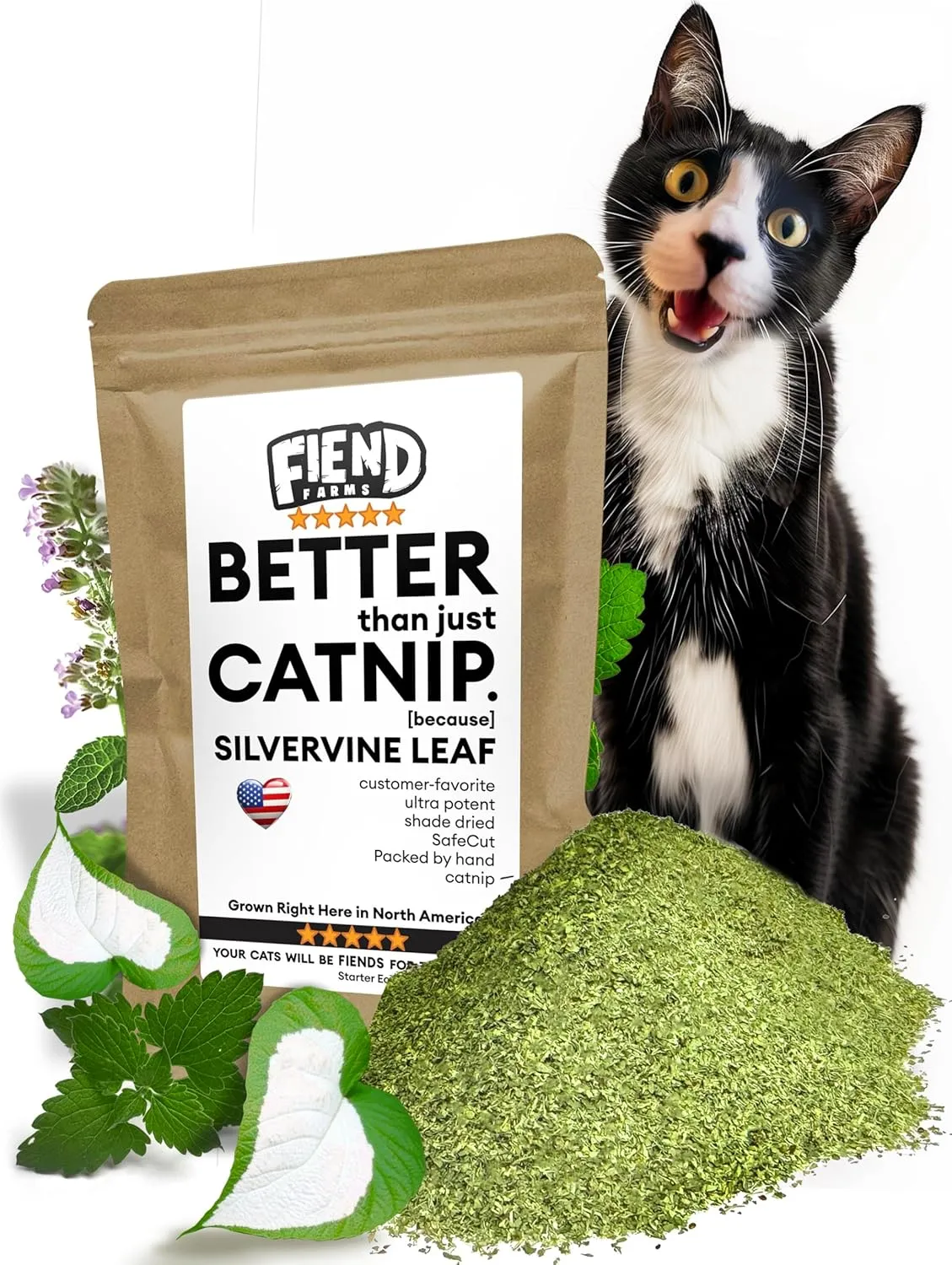 Fiend Catnip   Silvervine for Cats & Kittens Enhanced with Kind Silver Vine  Small Pack  Cup (11g) Safety-Cut Premium Fine Cat Nip Blend  Ultra Potent, North American Go Ahead, Create a Monster!