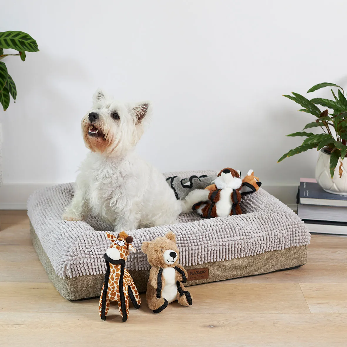 Furries - Tough Bear Dog Toy