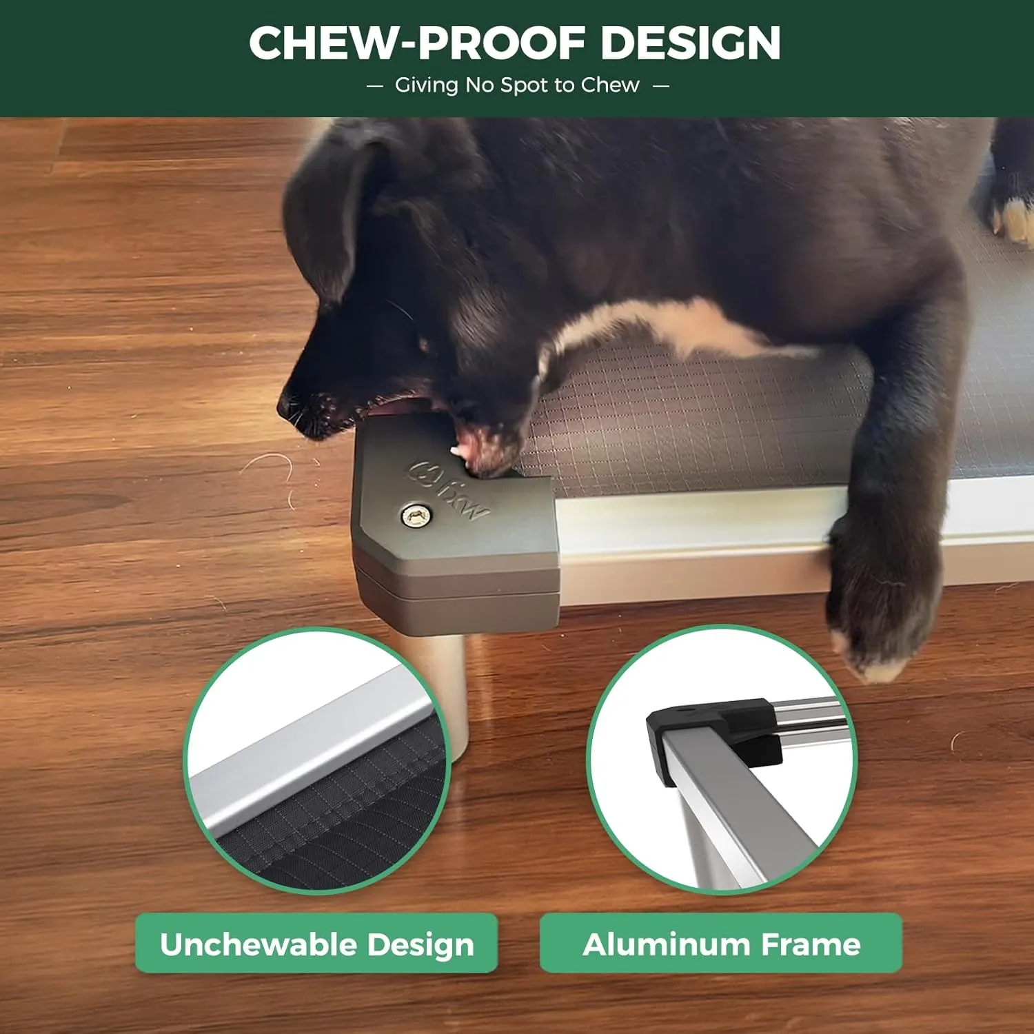 FXW TitanNest Chew-Proof Elevated Dog Bed, Padded Cot for Outdoor/Camping/Indoor Use, Durable & Washable Pet Bed for Large Dogs, 50-Inch, Grey