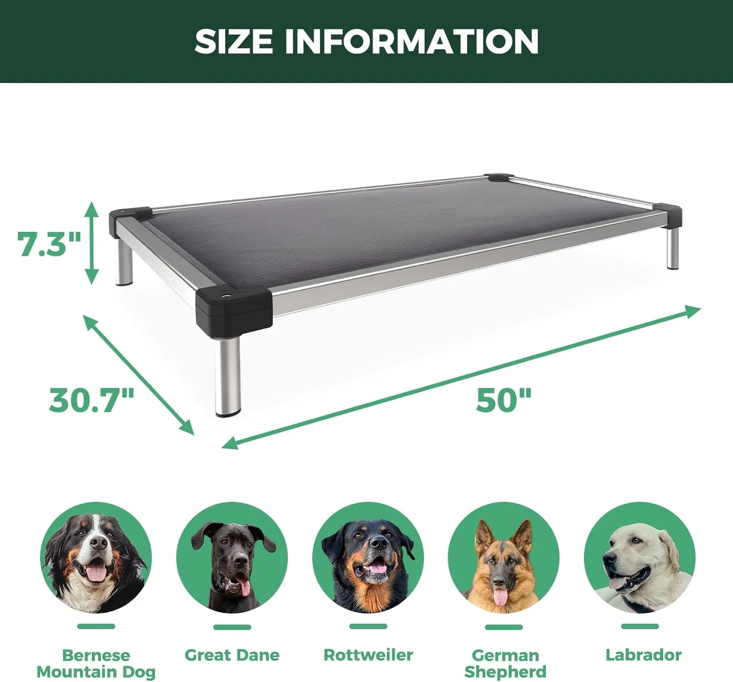 FXW TitanNest Chew-Proof Elevated Dog Bed, Padded Cot for Outdoor/Camping/Indoor Use, Durable & Washable Pet Bed for Large Dogs, 50-Inch, Grey