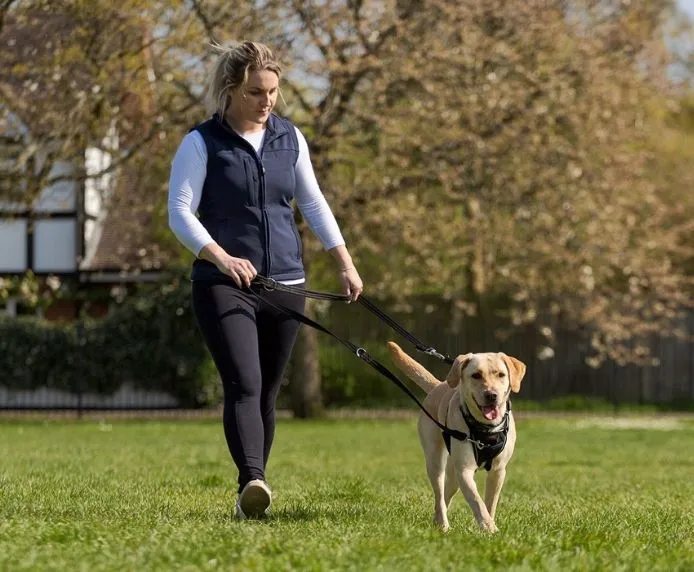 Halti No Pull Dog Harness