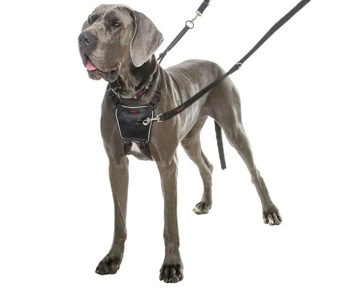 Halti No Pull Dog Harness