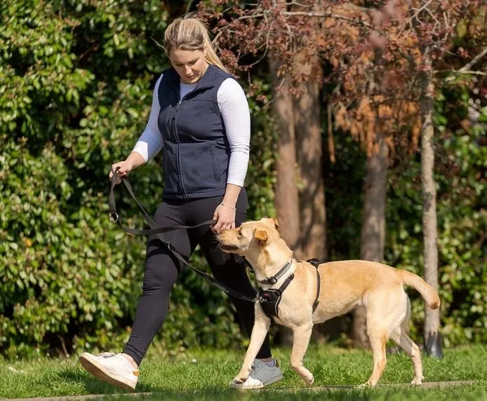 Halti No Pull Dog Harness