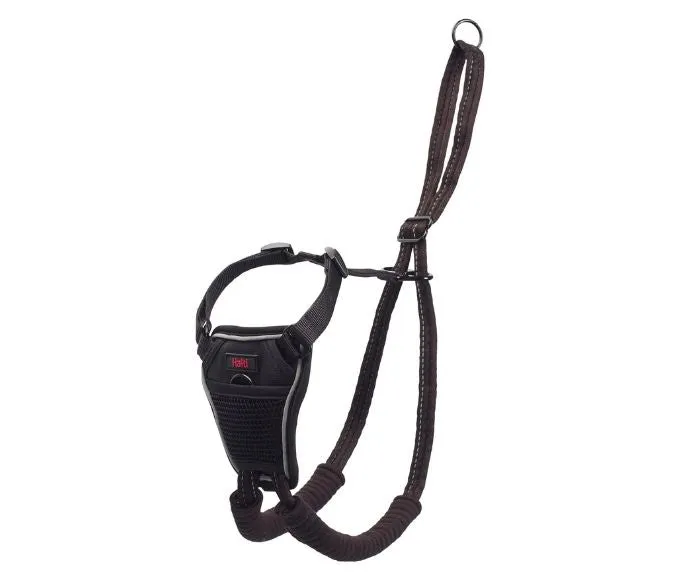 Halti No Pull Dog Harness