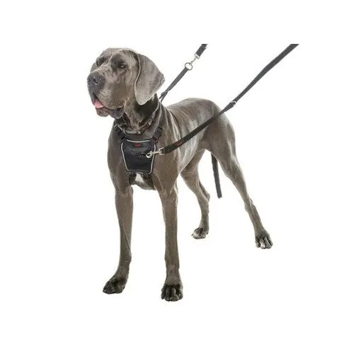 Halti No Pull Harness Medium