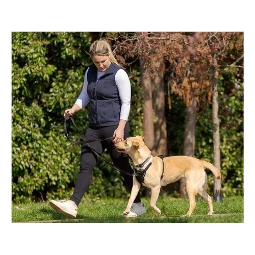 Halti No Pull Harness Medium