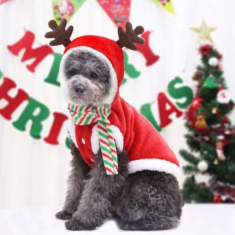 Holiday Pet Costume - Santa & Reindeer Outfit for Dogs