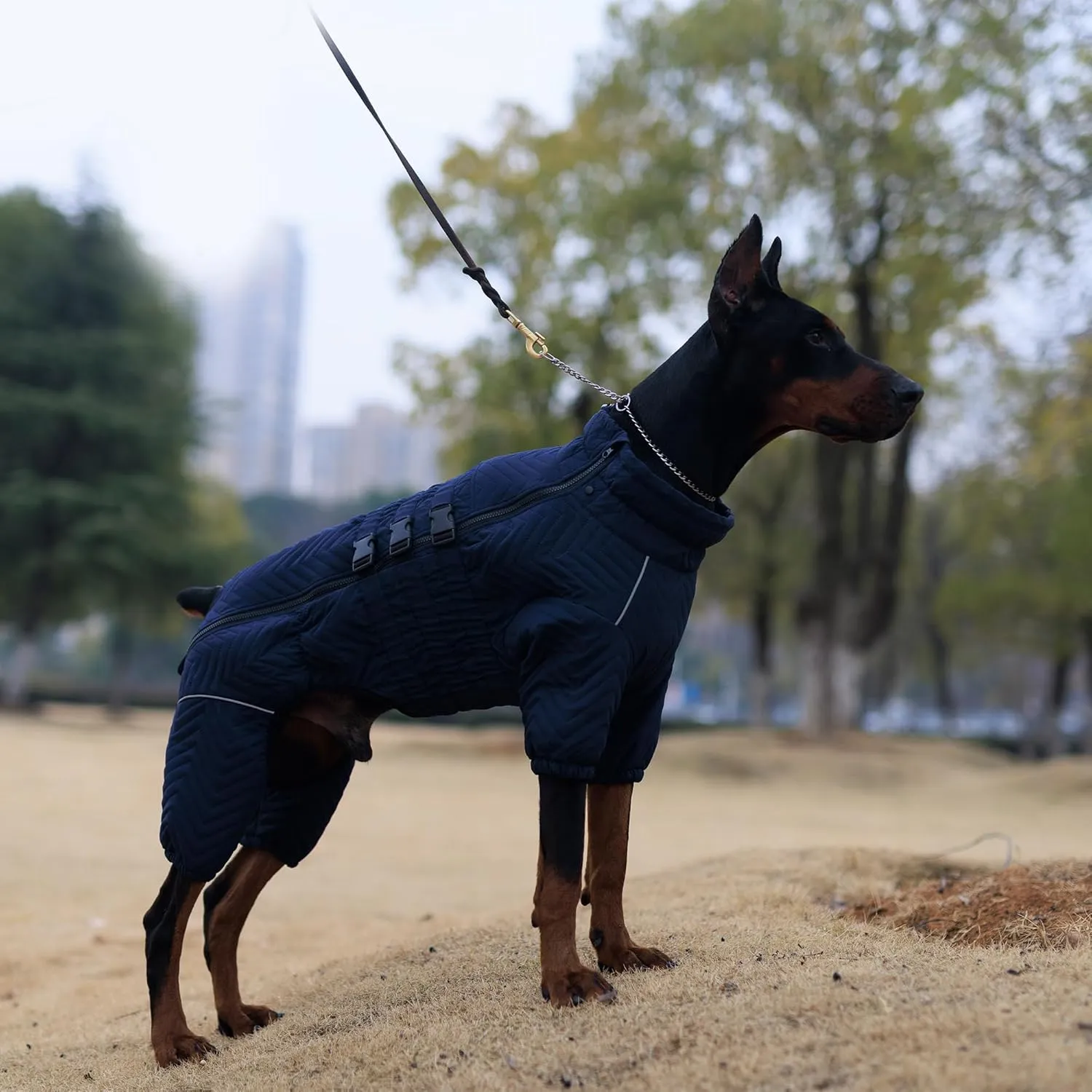 Lovelonglong Warm Dog Coat Double Layers Dog Vest, 4 Legs Covered Windproof Waterproof Reflective Warm Dog Vest Outdoor Skating Dog Costume for Small Medium Large Dogs Navyblue M