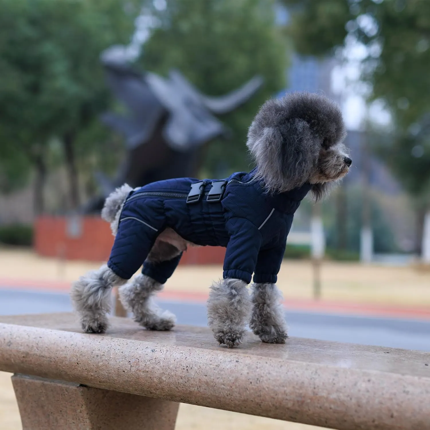 Lovelonglong Warm Dog Coat Double Layers Dog Vest, 4 Legs Covered Windproof Waterproof Reflective Warm Dog Vest Outdoor Skating Dog Costume for Small Medium Large Dogs Navyblue M